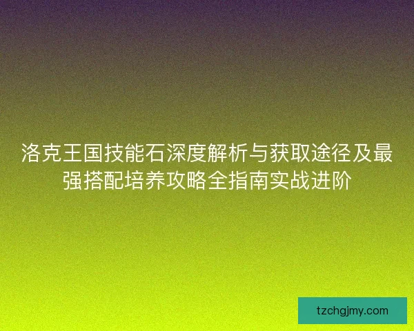 洛克王国技能石深度解析与获取途径及最强搭配培养攻略全指南实战进阶
