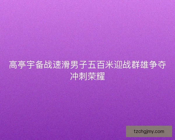 高亭宇备战速滑男子五百米迎战群雄争夺冲刺荣耀