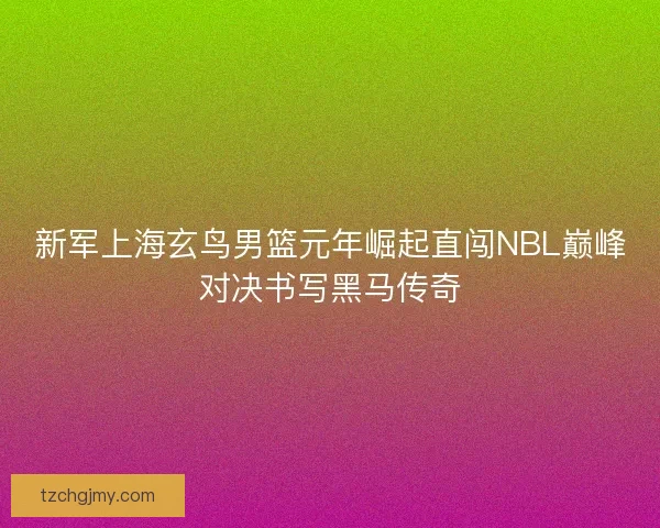 新军上海玄鸟男篮元年崛起直闯NBL巅峰对决书写黑马传奇
