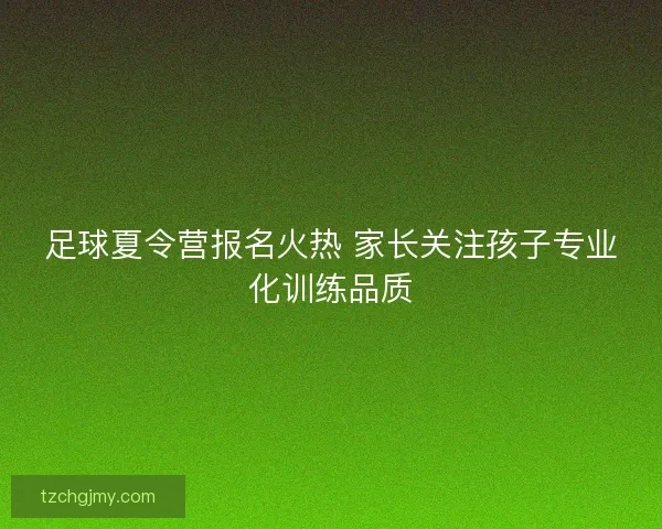 足球夏令营报名火热 家长关注孩子专业化训练品质 足球夏令营报名火热 家长关注孩子专业化训练品质