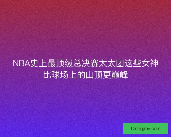 NBA史上最顶级总决赛太太团这些女神比球场上的山顶更巅峰